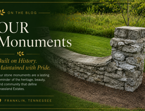 The Monument at Bobby Drive: A Decision Point for Our Neighborhood
